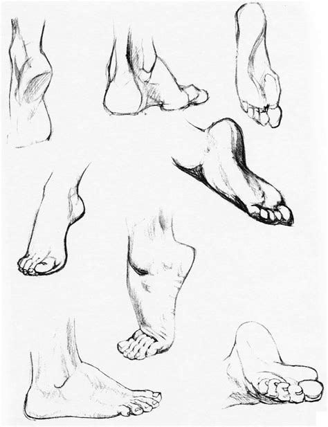 Feet reference drawing - 1 day ago · HAELE 3D - Feet Pro & Hand Lite - Anatomy Drawing Reference Poses is a bundle available to download and play for $35.50 which is a 26% discount off its base price. It includes 2 apps and 1 packages. HAELE 3D - Feet Pro & Hand Lite - Anatomy Drawing Reference Poses can be played and ran on Windows systems. At the moment, there is …